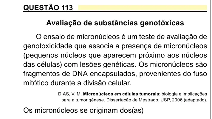 Enunciado da questão 113 do ENEM 2023 Dia 2