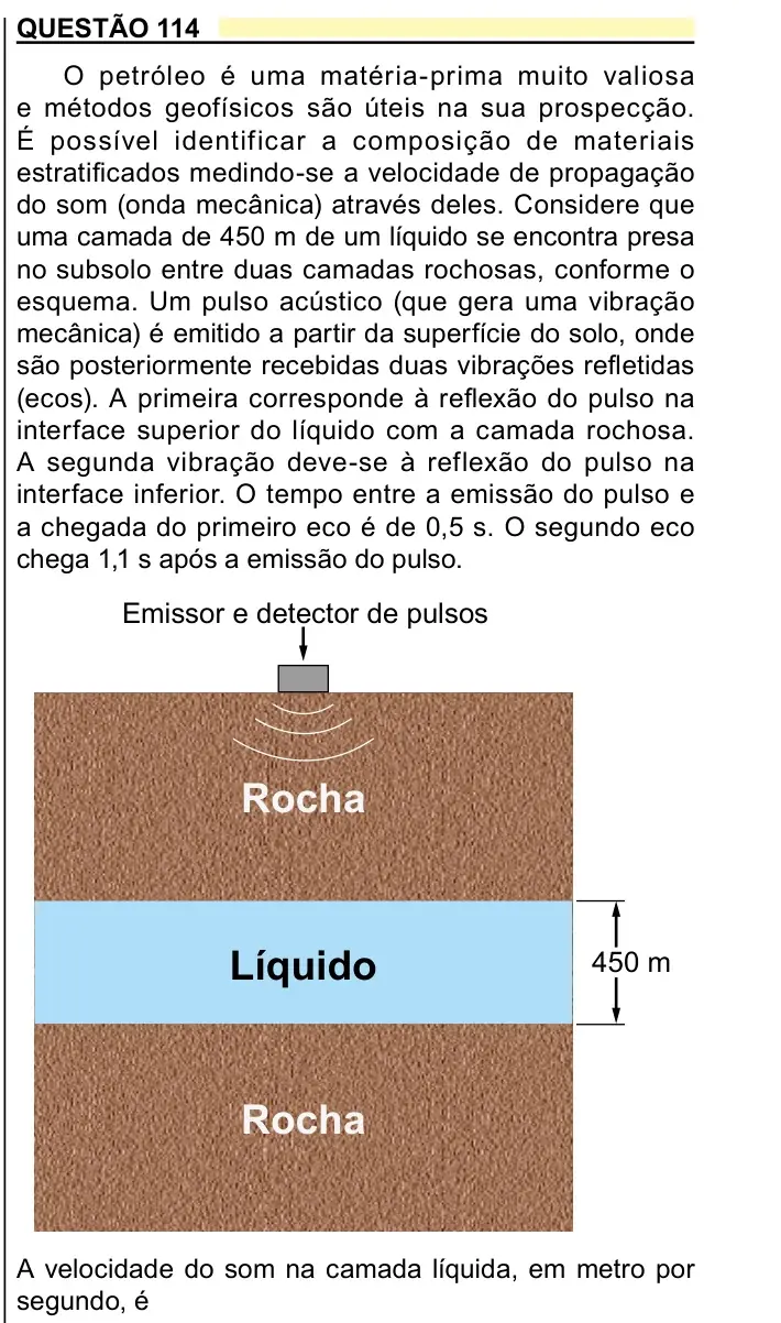 Enunciado da questão 114 do ENEM 2023 Dia 2