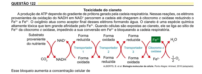 Enunciado da questão 122 do ENEM 2023 Dia 2