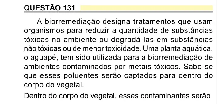 Enunciado da questão 131 do ENEM 2023 Dia 2