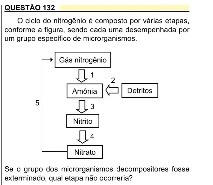 Enunciado da questão 132 do ENEM 2023 Dia 2
