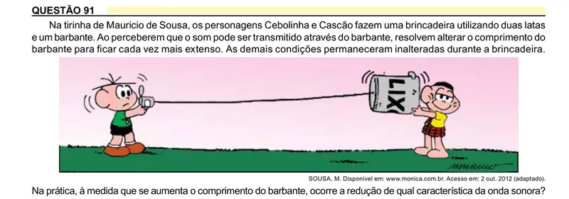 Enunciado da questão 91 do ENEM 2023 Dia 2