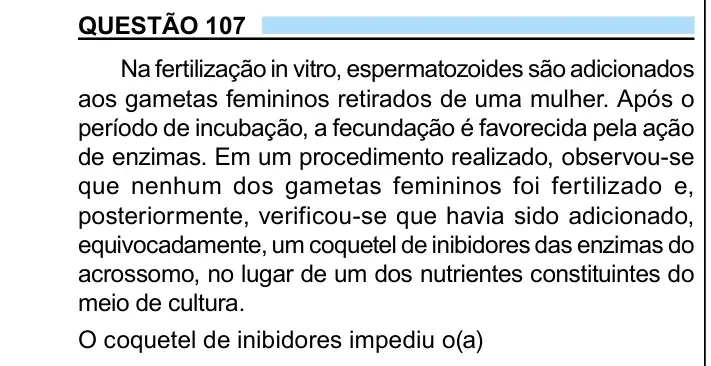Enunciado da questão 107 do ENEM 2023