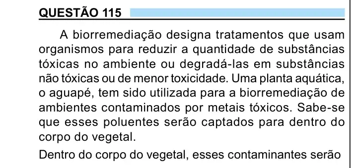 Enunciado da questão 115 do ENEM 2023
