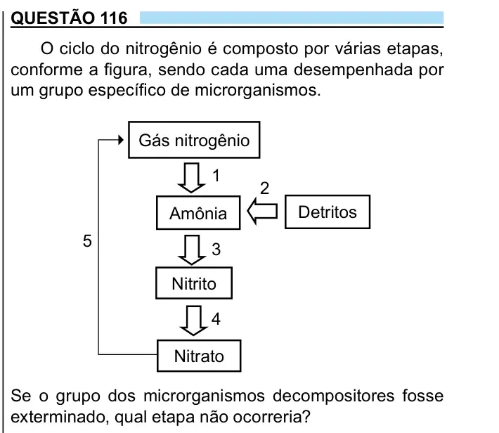 Enunciado da questão 116 do ENEM 2023