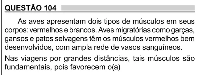 Enunciado da questão 104 do ENEM 2023 Dia 2