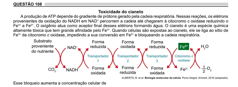 Enunciado da questão 108 do ENEM 2023 Dia 2