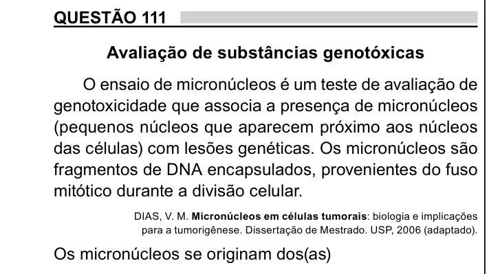 Enunciado da questão 111 do ENEM 2023 Dia 2