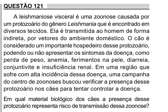 Enunciado da questão 121 do ENEM 2023 Dia 2