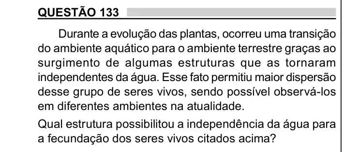 Enunciado da questão 133 do ENEM 2023 Dia 2