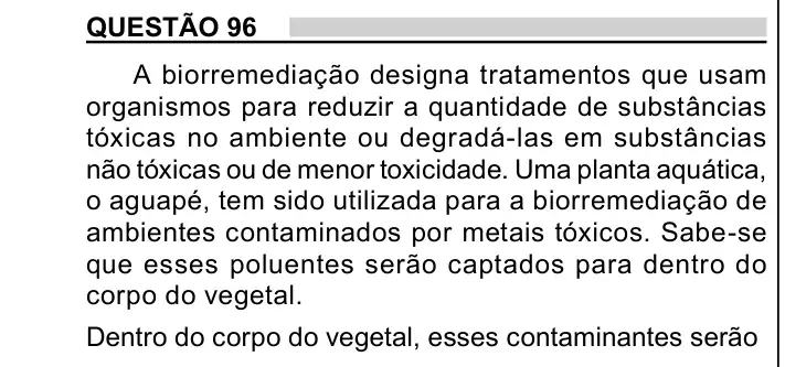 Enunciado da questão 96 do ENEM 2023 Dia 2