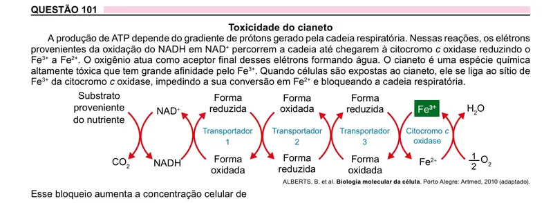 Enunciado da questão 101 do ENEM 2023 Dia 2