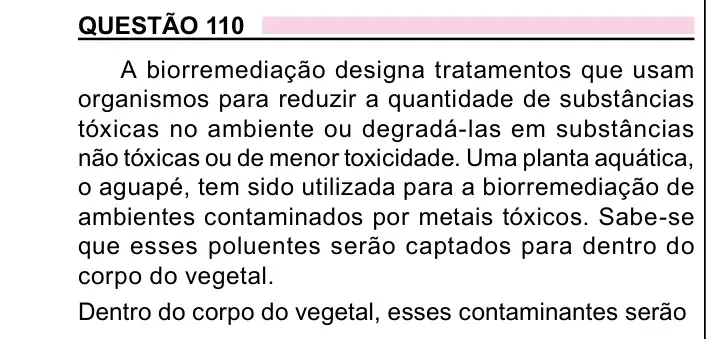 Enunciado da questão 110 do ENEM 2023 Dia 2