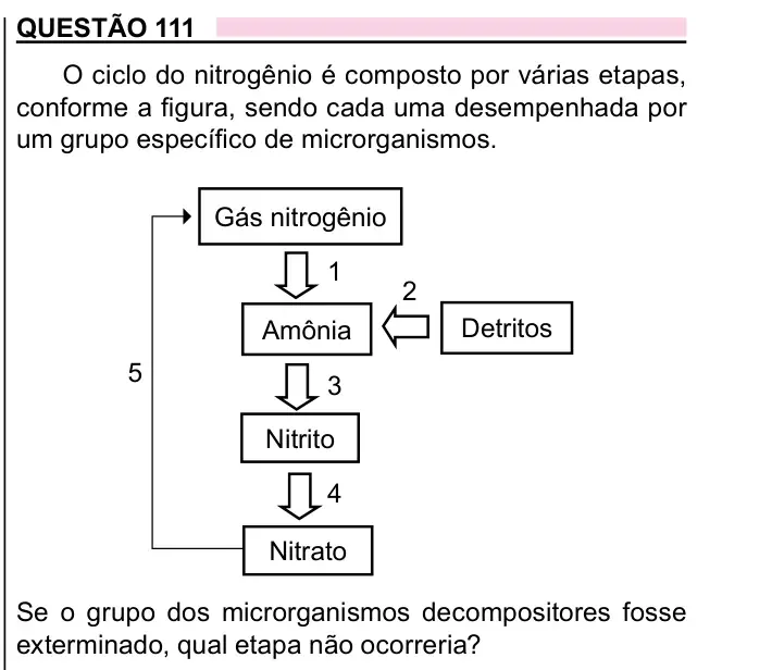 Enunciado da questão 111 do ENEM 2023 Dia 2