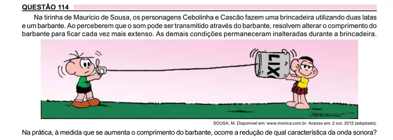 Enunciado da questão 114 do ENEM 2023 Dia 2