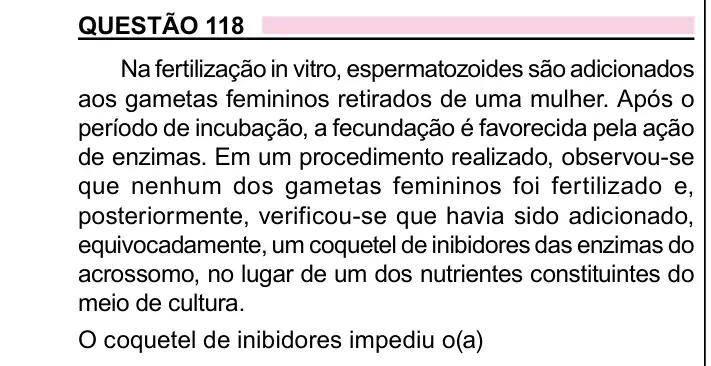 Enunciado da questão 118 do ENEM 2023 Dia 2