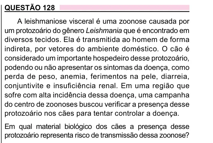Enunciado da questão 128 do ENEM 2023 Dia 2