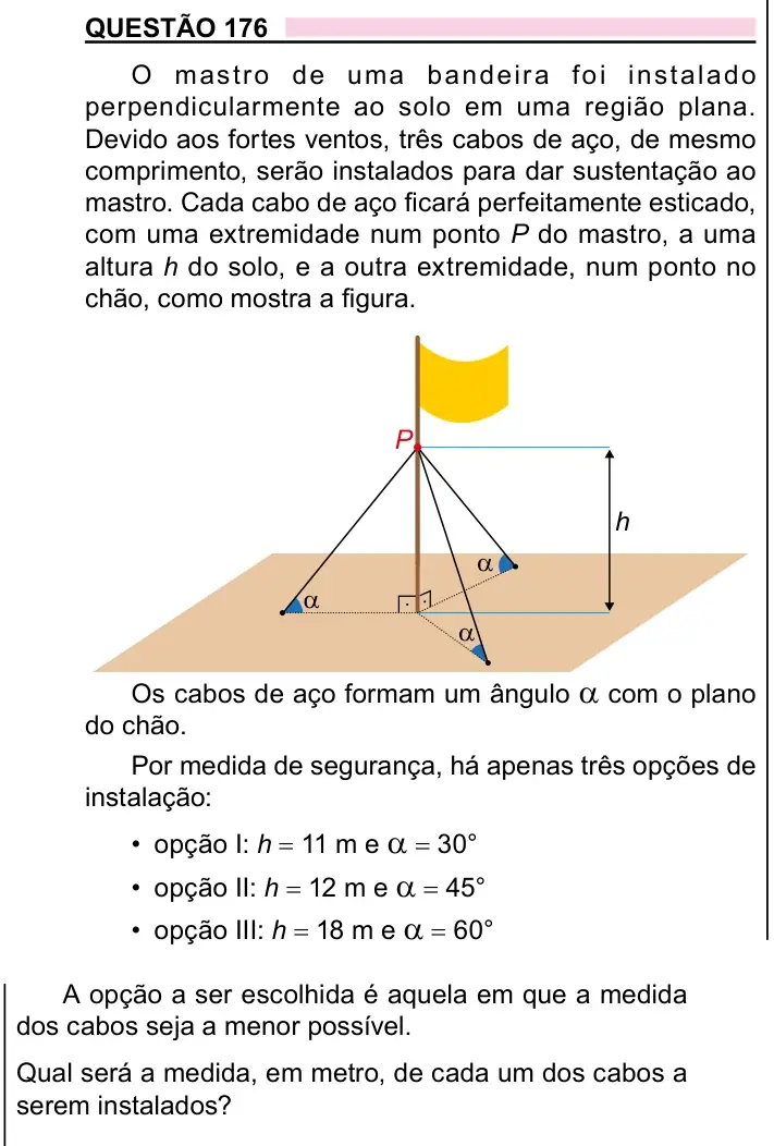 Enunciado da questão 176 do ENEM 2023 Dia 2