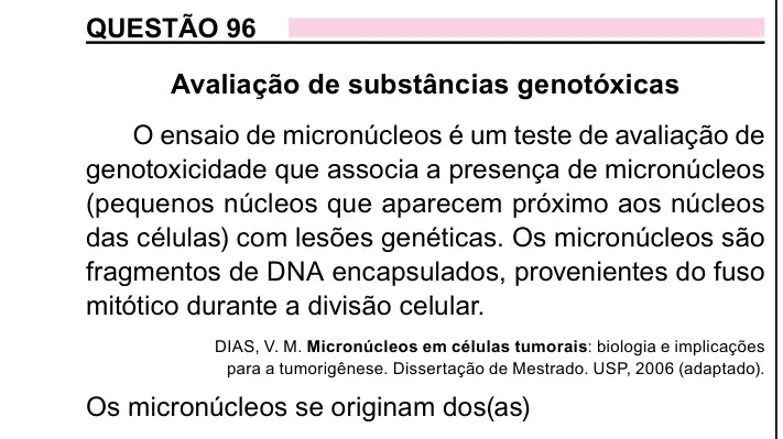 Enunciado da questão 96 do ENEM 2023 Dia 2