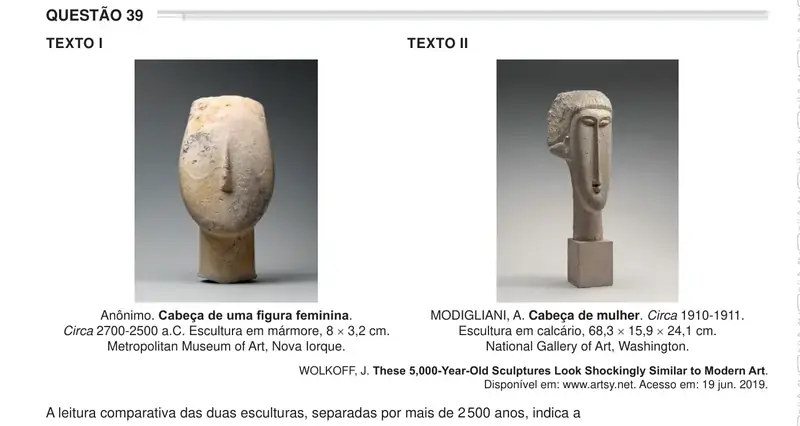 Enunciado da questão 39 do ENEM 2024 Dia 1