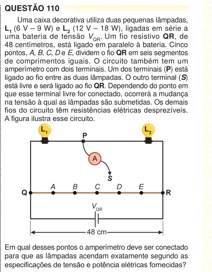 Enunciado da questão 110 do ENEM 2024 Dia 2