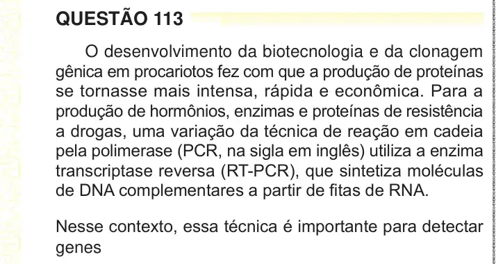 Enunciado da questão 113 do ENEM 2024 Dia 2