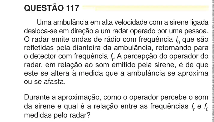 Enunciado da questão 117 do ENEM 2024 Dia 2