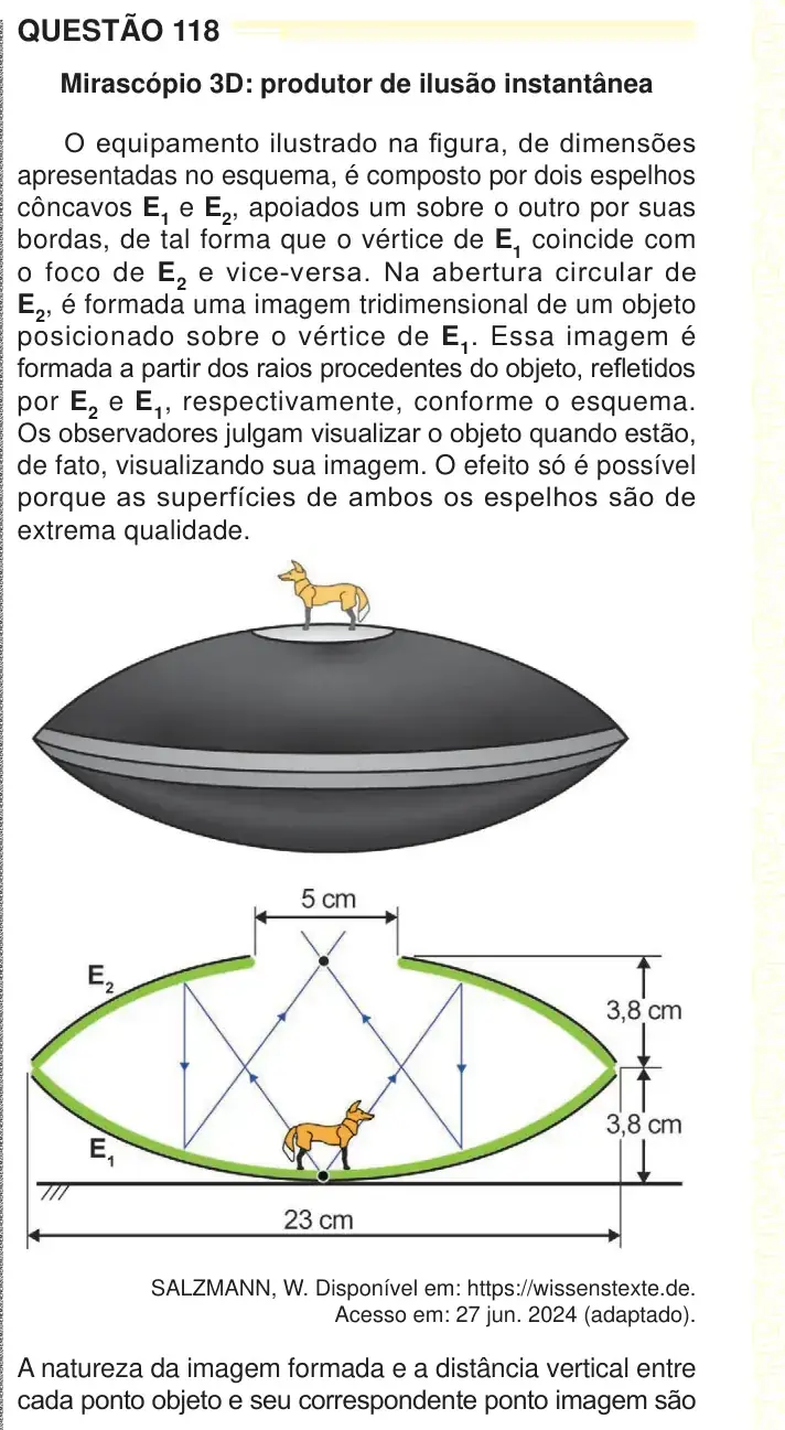 Enunciado da questão 118 do ENEM 2024 Dia 2