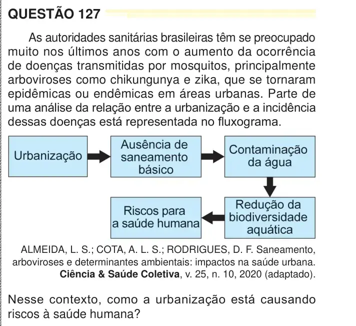 Enunciado da questão 127 do ENEM 2024 Dia 2