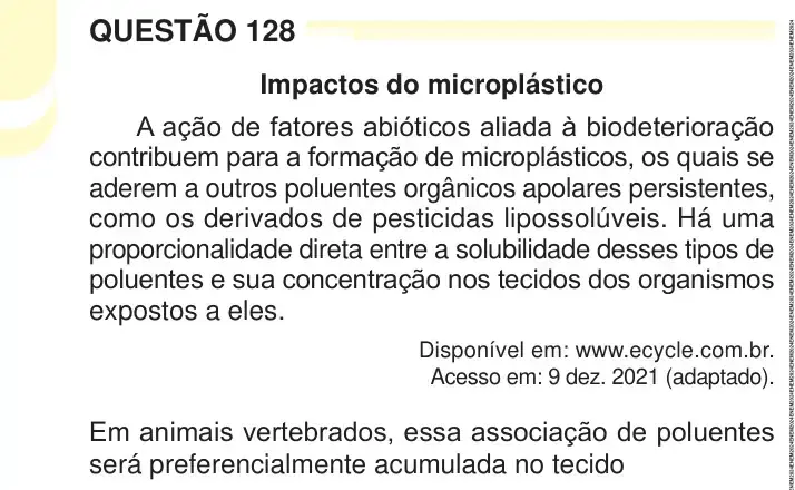 Enunciado da questão 128 do ENEM 2024 Dia 2