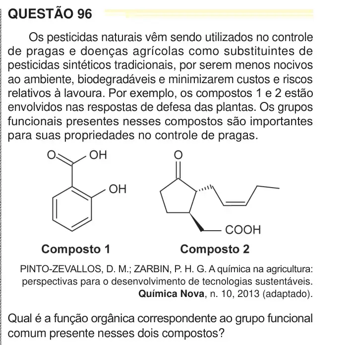 Enunciado da questão 96 do ENEM 2024 Dia 2