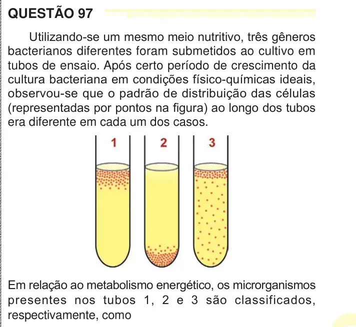 Enunciado da questão 97 do ENEM 2024 Dia 2