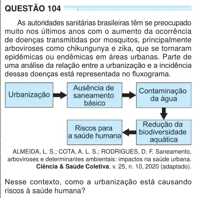Enunciado da questão 104 do ENEM 2024
