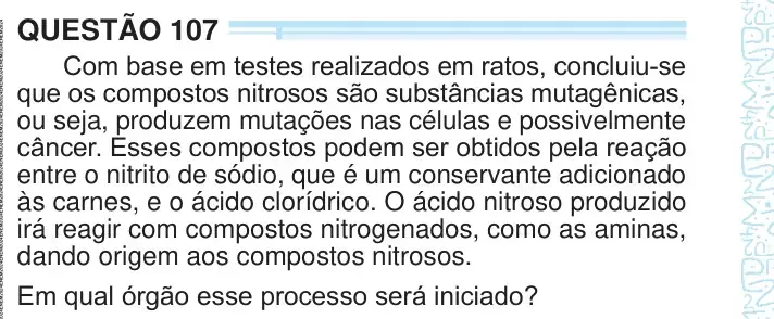 Enunciado da questão 107 do ENEM 2024