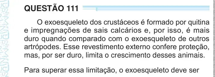 Enunciado da questão 111 do ENEM 2024