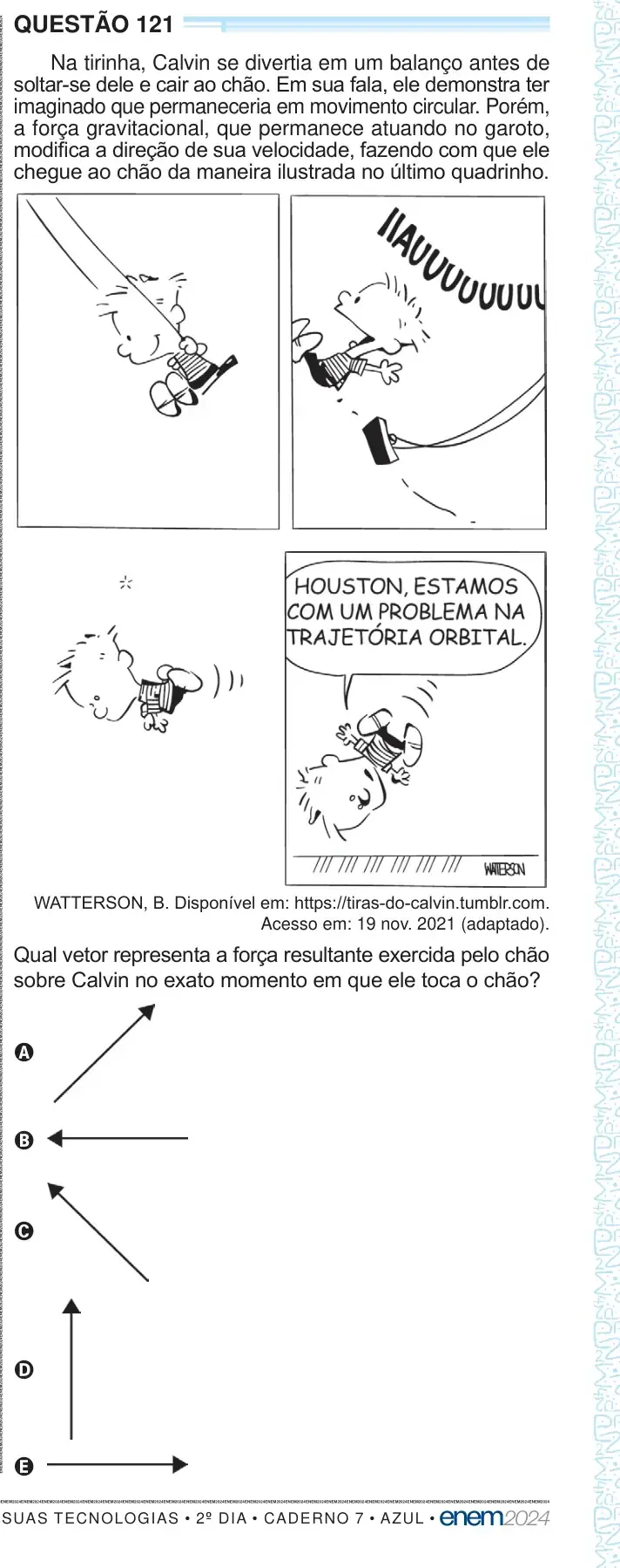 Enunciado da questão 121 do ENEM 2024