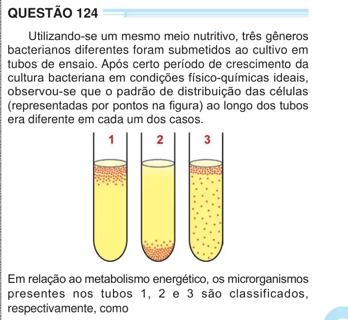 Enunciado da questão 124 do ENEM 2024
