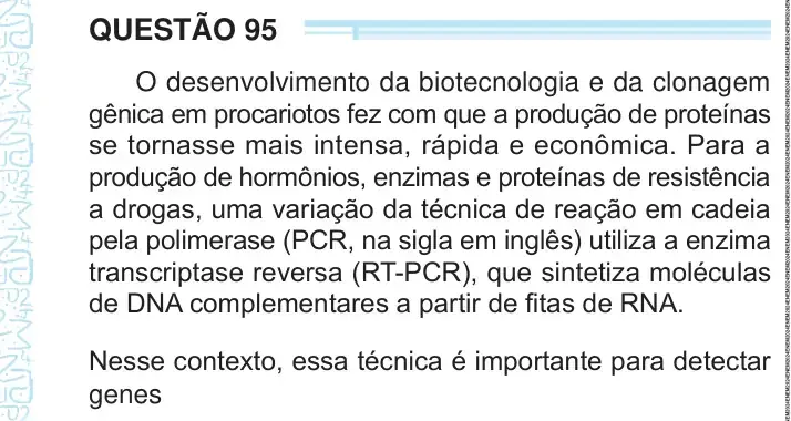 Enunciado da questão 95 do ENEM 2024
