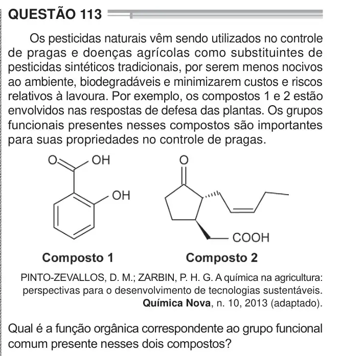 Enunciado da questão 113 do ENEM 2024 Dia 2