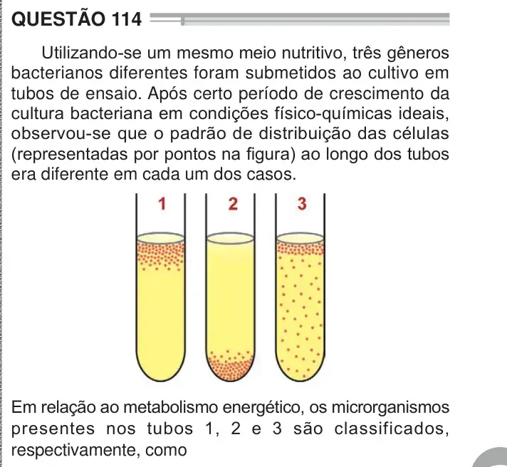 Enunciado da questão 114 do ENEM 2024 Dia 2