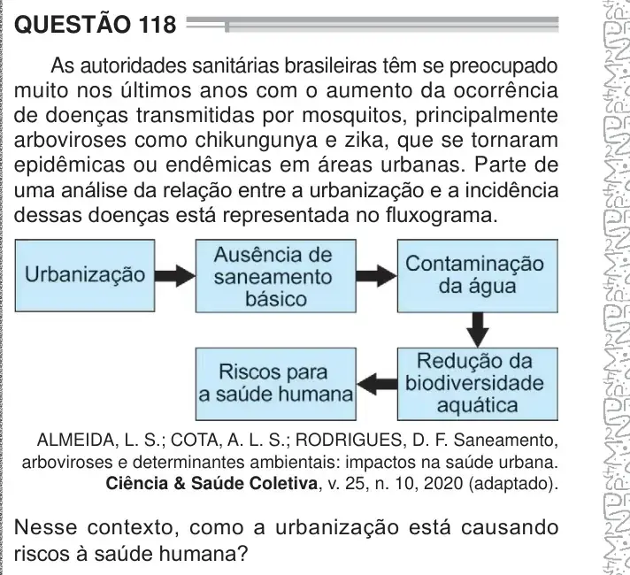 Enunciado da questão 118 do ENEM 2024 Dia 2