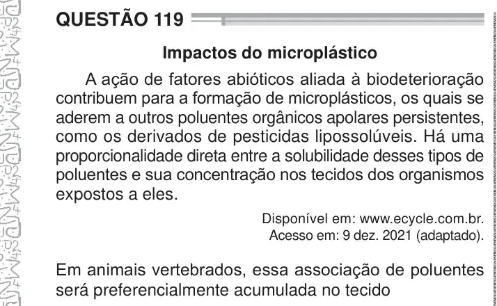 Enunciado da questão 119 do ENEM 2024 Dia 2