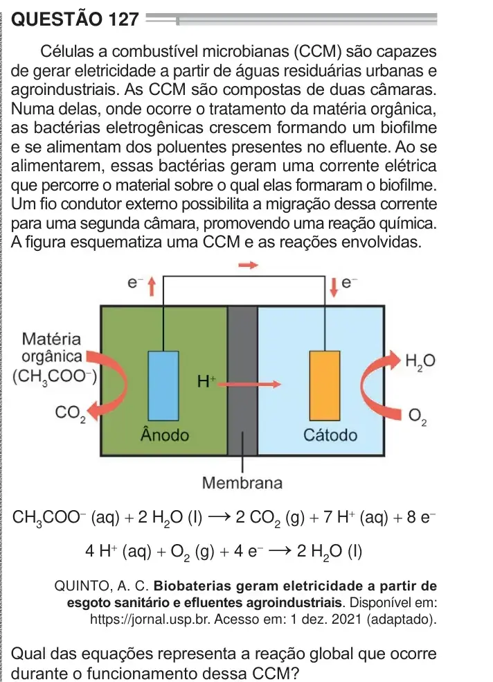 Enunciado da questão 127 do ENEM 2024 Dia 2