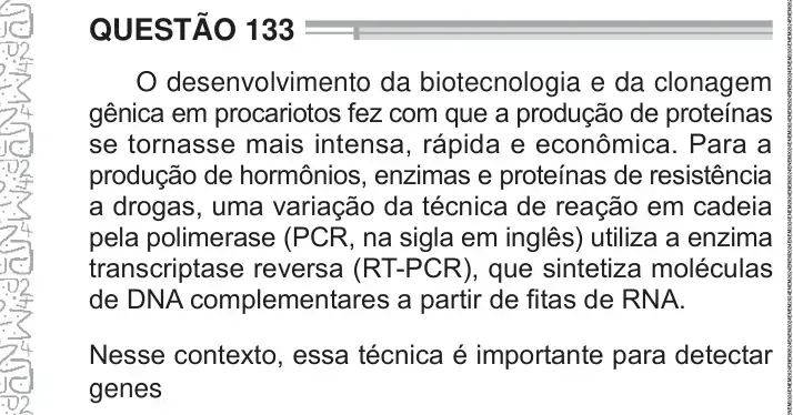 Enunciado da questão 133 do ENEM 2024 Dia 2