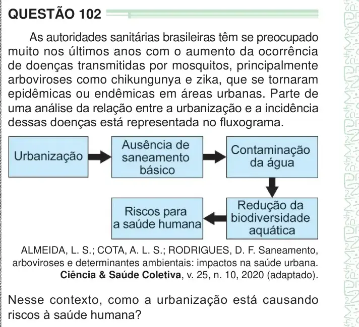 Enunciado da questão 102 do ENEM 2024 Dia 2