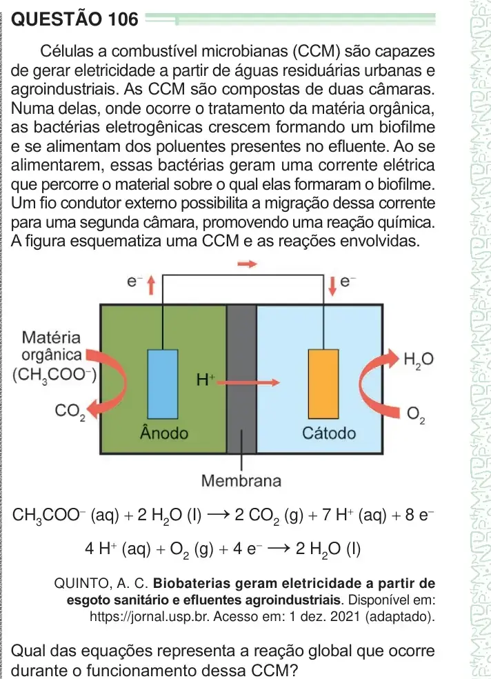 Enunciado da questão 106 do ENEM 2024 Dia 2