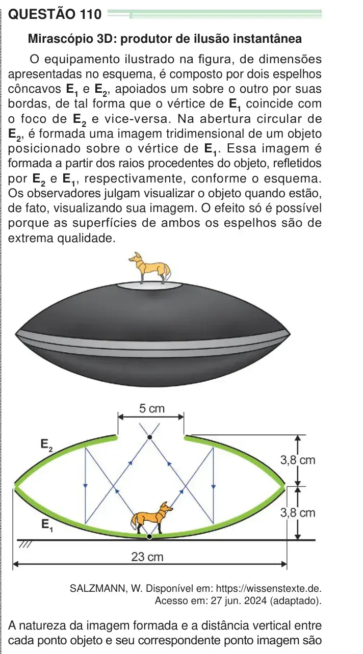 Enunciado da questão 110 do ENEM 2024 Dia 2