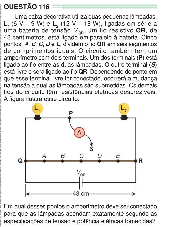 Enunciado da questão 116 do ENEM 2024 Dia 2