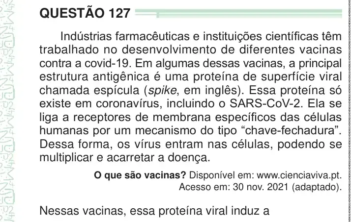 Enunciado da questão 127 do ENEM 2024 Dia 2