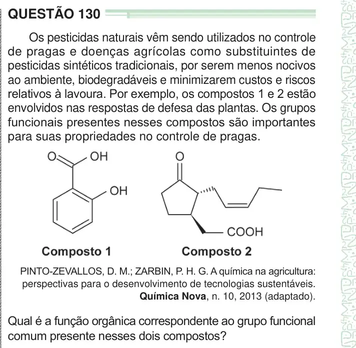 Enunciado da questão 130 do ENEM 2024 Dia 2
